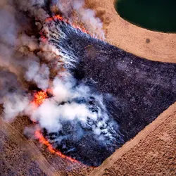 February 2017 (The Wilds)